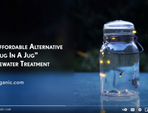 An Alternative to “Bug in a Jug” Wastewater Treatment