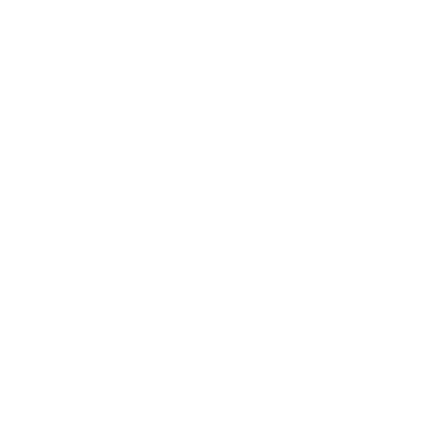 Permidian Technologies Logo